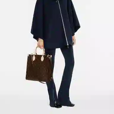 LOUIS VUITTON Sac Plat PM