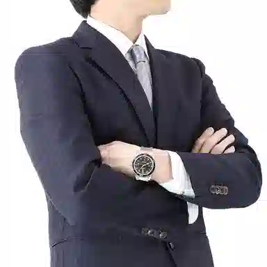 Omega Seamaster 233.20.41.21.01.001