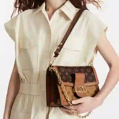 Louis Vuitton Dauphine MM Brown