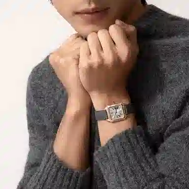 CARTIER 27.5*38mm 18K WGSA0022