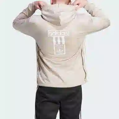 adidas originals Adicolor Adibreak Hoodie Logo