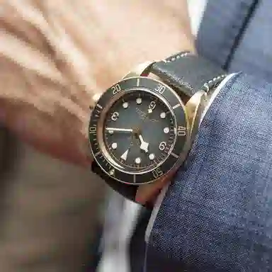 Tudor Black Bay M79250BA-0001