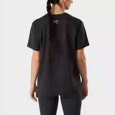 Arcteryx Downword Ss T