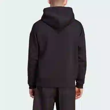 adidas originals Adventure Hoodie Logo