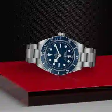 Tudor Black Bay M79030B-0001