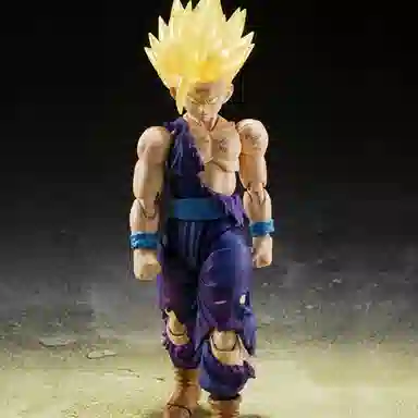 BANDAI S.H.Figuarts -Excluisve Edition-