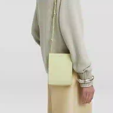 JIL SANDER Tangle Small