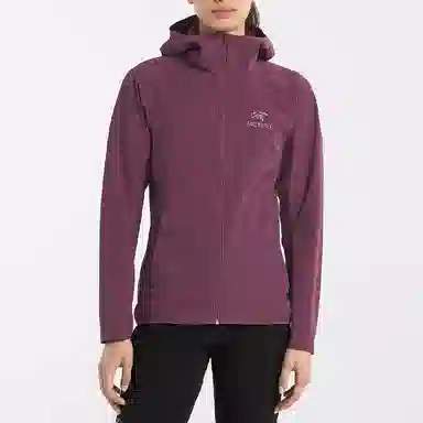 Arcteryx GAMMA SL Hoody Homen's Logo