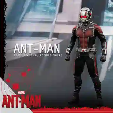 Hot Toys 1.0 16 30cm