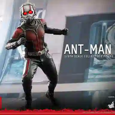 Hot Toys 1.0 16 30cm