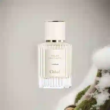 Chloe EDP 50ml150ml