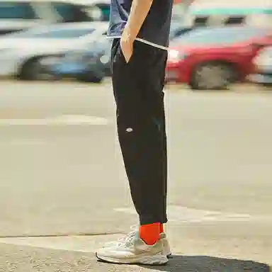 Dickies SS22