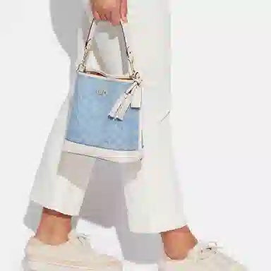 COACH Mollie 22 Bucket Bag Blue Signature