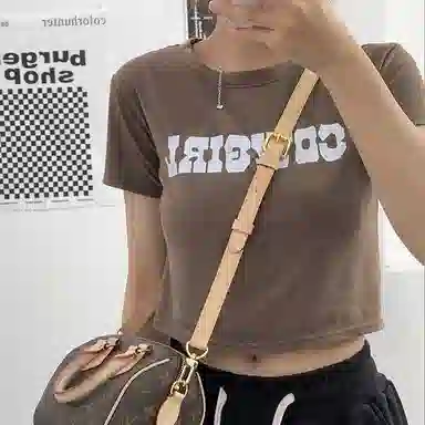 Louis Vuitton Speedy 20