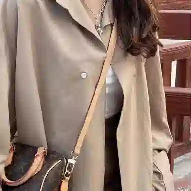 Louis Vuitton Speedy 20