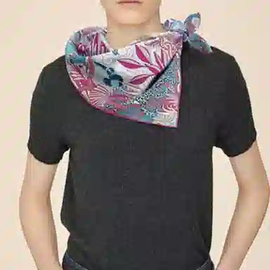 Hermes Cosmos Scarf Purple