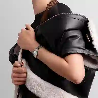 LONGINES 29mm L4.310.5.87.7