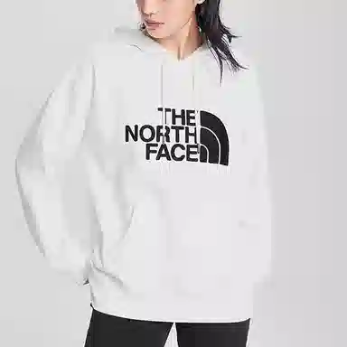 THE NORTH FACE THROWBACK EMBROIDERED PULLOVER HOD