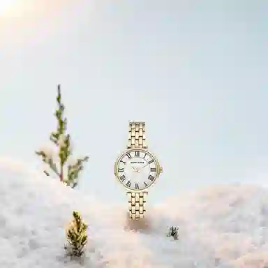 ANNE KLEIN AK-3322WTGB