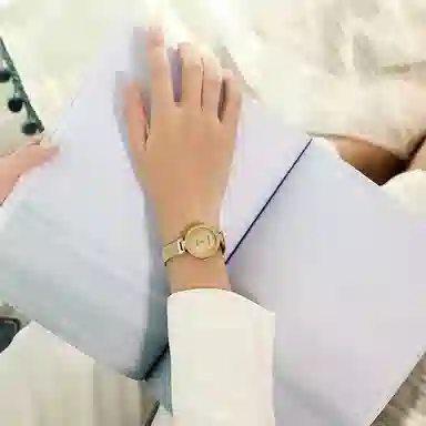 ANNE KLEIN AK-2472TMGB