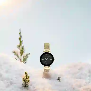 ANNE KLEIN AK-2472BKGB