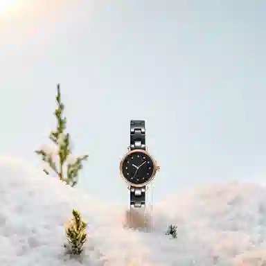 ANNE KLEIN AK-3312BKRG