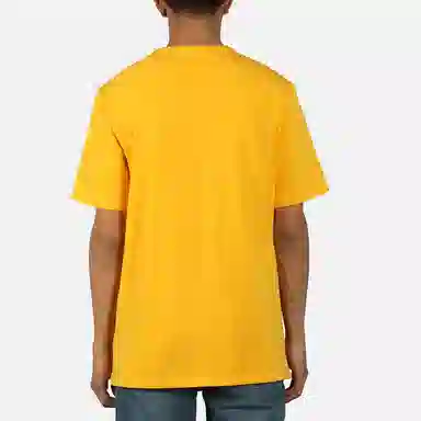 Champion T