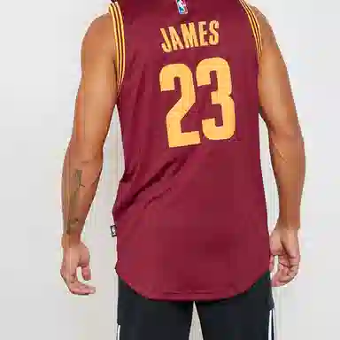 adidas SW Cleveland Cavaliers LeBron James Jersey
