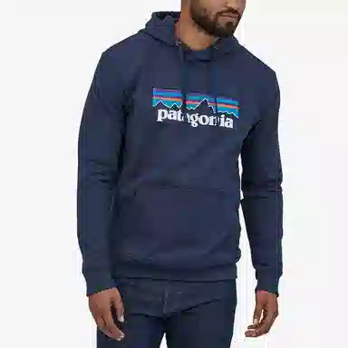 patagonia Logo