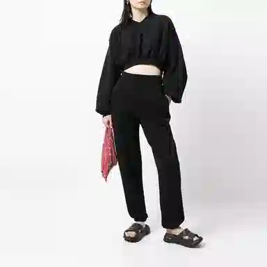 alexander wang VLogo