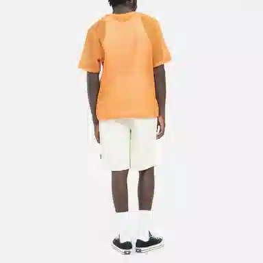 Stussy SS22 Brushed Beach Short