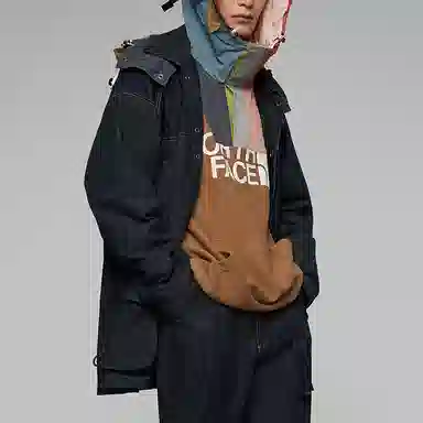 THE NORTH FACE UE Logo