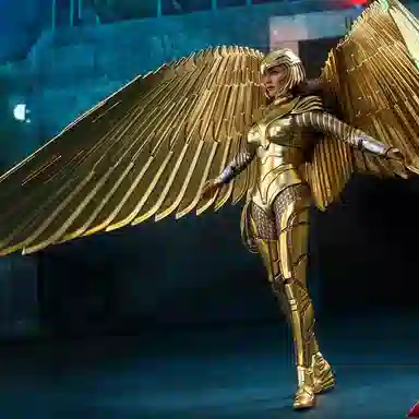 Hot Toys 16 5.0 30.5cm