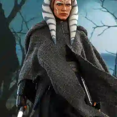 Hot Toys 16 dx20 28.5cm