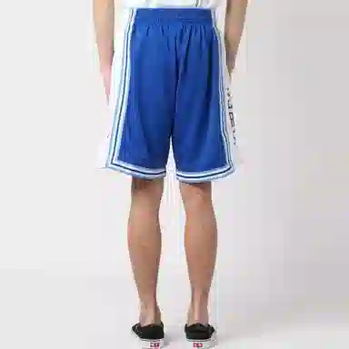 Mitchell Ness SW 96-97