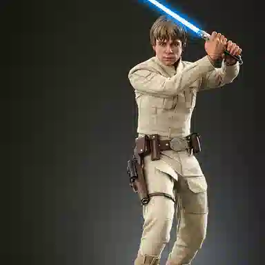 Hot Toys 16 5 dx 28cm