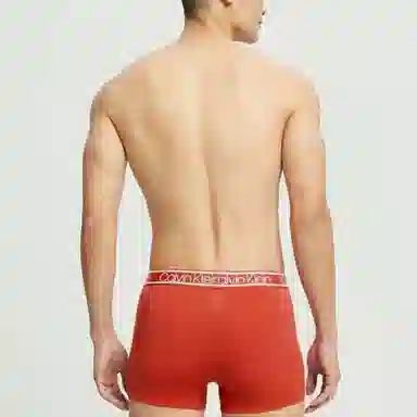 CKCalvin Klein Logo 3