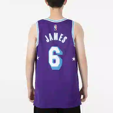 Nike NBA Los Angeles Lakers LeBron James 6 Jersey