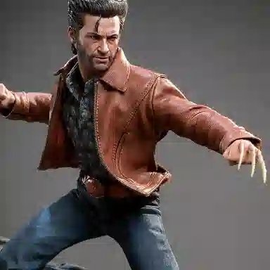 Hot Toys Wolverine X-Men 1:6 Figure