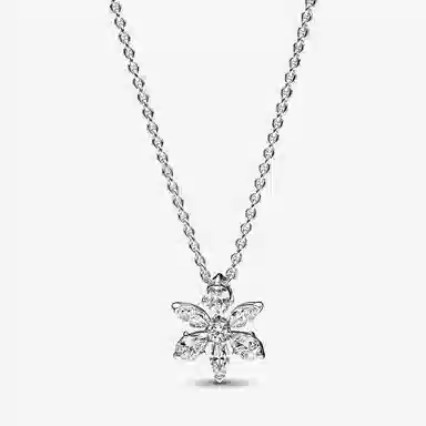 Pandora Hexagram 925 Silver Necklace