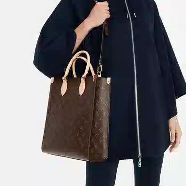 LOUIS VUITTON Sac Plat PM