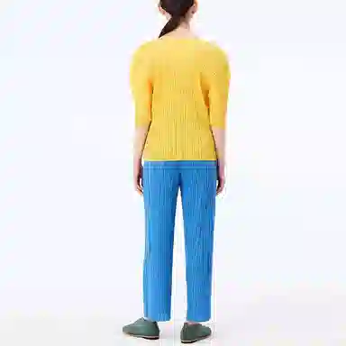 PLEATS PLEASE ISSEY MIYAKE FW22