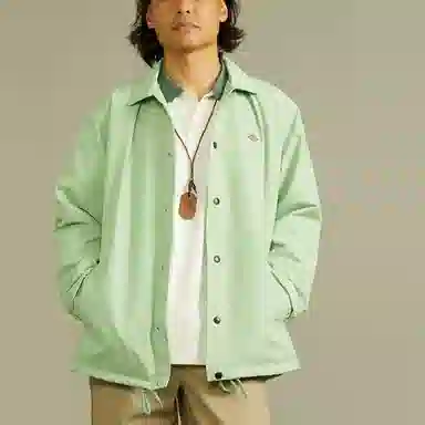 Dickies