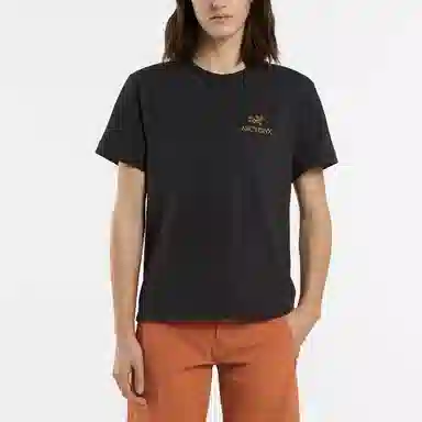 Arcteryx ARC ' LOGO EMBLEM Emblem T
