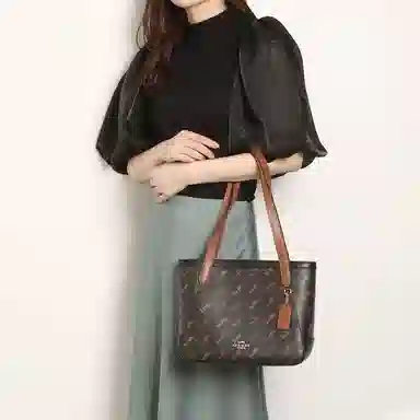 COACH Horse And Carriage 27