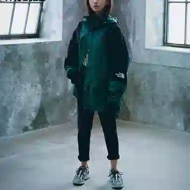 The North Face Retro Mountain Light Futurelight