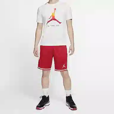 Jordan Legacy AJ11 T