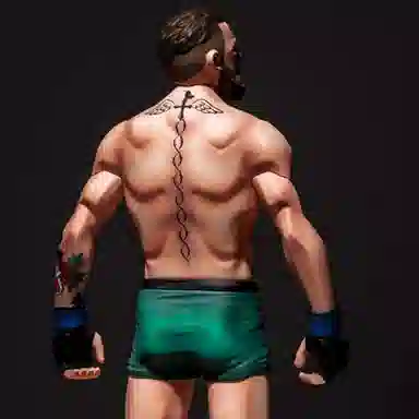 ZCWO ZC WORLD LEGEND NOTORIOUS 29cm