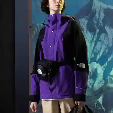 The North Face 1994 Series