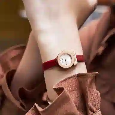FERRAGAMO F43020017